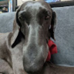 Meet your Posher, Markus